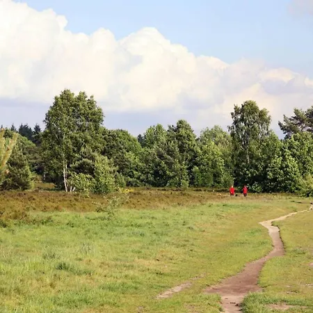 Heidepracht * Putten