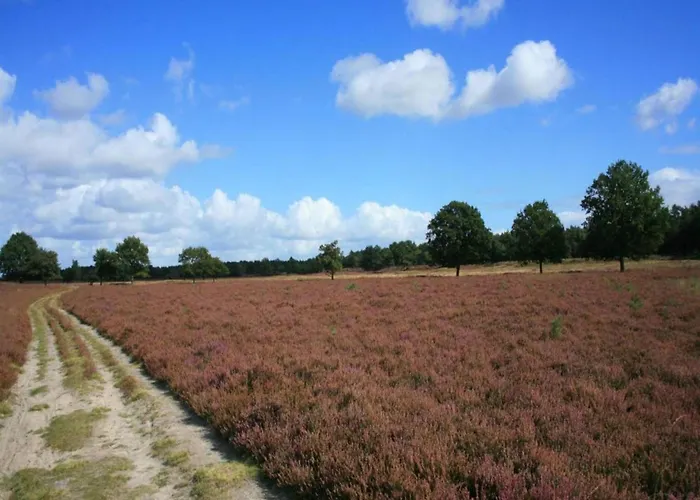 Semesterbostad Heidepracht