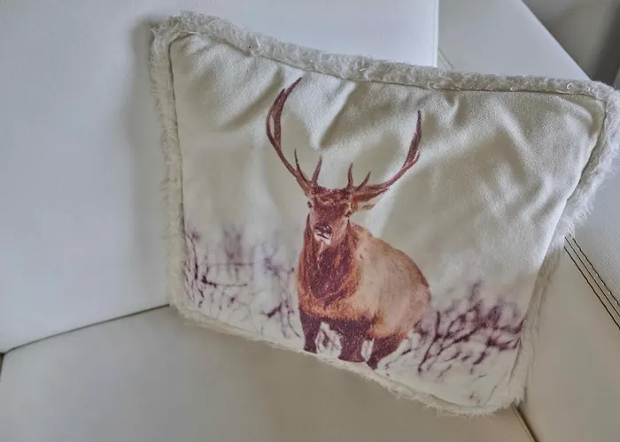 Semesterbostad Heidepracht *