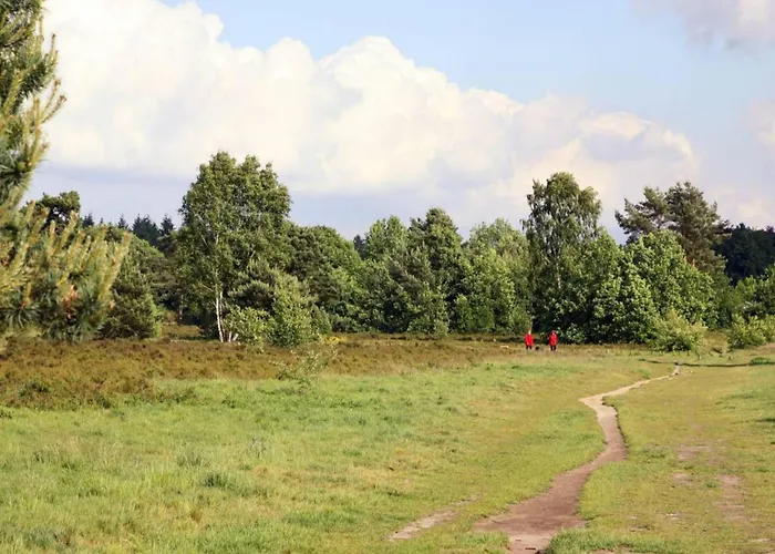 Heidepracht * Putten