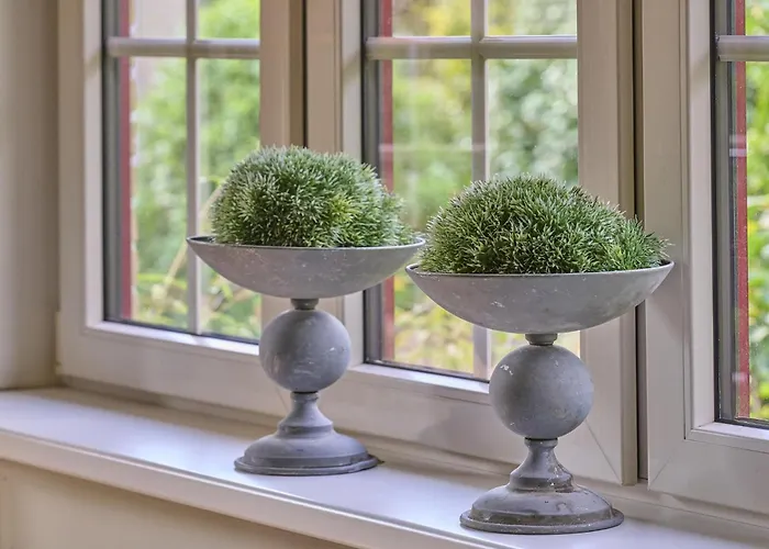 Semesterbostad Heidepracht