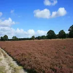 Vakantiehuis Heidepracht