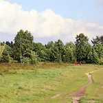 Heidepracht * Putten