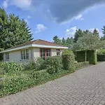 Heidepracht